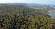 Naturschutzgebiet Wienerwald bei Greifenstein.