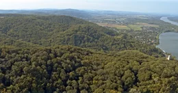 Naturschutzgebiet Wienerwald bei Greifenstein.