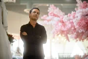 Jesse Bradford als Mark Marsden
