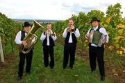 Zahoracka Banda im Weinber in der N&auml;he von Maria Weinberg.