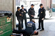 Untersuchen einen neuen Mordfall: Ziva (Cote de Pablo, l.), Tony (Michael Weatherly, 2.v.l.), McGee (Sean Murray, 2.v.r.), Gibbs (Mark Harmon, r.) und Ducky (David McCallum, vorne) ...