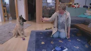 Anke Schwarze mit Tervueren-Dame Csilla.