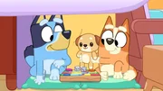 Bluey m&ouml;chte wissen, warum Papa sie immer herumkommandiert!