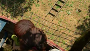 Ohne Leiter sind die Dorfbandenkinder Gefangene in ihrem eigenen Baumhaus. Ohne Leiter sind die Dorfbandenkinder Gefangene in ihrem eigenen Baumhaus.
