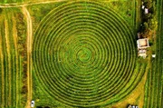 Einen weltweit einzigartigen Weinberg hat ein Verein aus Hobby-Winzern geschaffen. Die &bdquo;Wingertschnegg" wurde wie ein Schneckenhaus in Spiralform angelegt. Durch die au&szlig;ergew&ouml;hnliche Form wurde &bdquo;die l&auml;ngste Rebzeile der Welt&ldquo; geschaffen, was in der Bearbeitung der Weinst&ouml;cke freilich auch Nachteile birgt. Eine Fahrt mit dem Weinbergstraktor vom &auml;u&szlig;eren Rand bis ins Zentrum der Spirale soll eine ganze Stunde dauern.