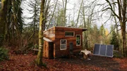 Moss covered trees, ferns and orange and brown leaf litter surround Sophie's finished tiny house, as an uncommon window of light breaks through the dull, gray winter sky, in Seattle, Washington, as seen on Tiny House, Big Living. Moss covered trees, ferns and orange and brown leaf litter surround Sophie's finished tiny house, as an uncommon window of light breaks through the dull, gray winter sky, in Seattle, Washington, as seen on Tiny House, Big Living.