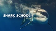 Shark School With Michael Phelps