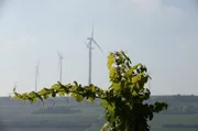 Manche nennen das Zellertal auch ironisch &bdquo;Propellertal&ldquo;. Die rund um das Tal aufgestellten Windkraftanlagen haben das Gesicht der Region nachhaltig ver&auml;ndert.