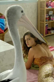 Ein Pelikan in der mit Wasser gefüllten Badewanne und Cleo (Phoebe Tonkin) soll ihn einfangen – das kann nur schiefgehen. Ein Pelikan in der mit Wasser gefüllten Badewanne und Cleo (Phoebe Tonkin) soll ihn einfangen – das kann nur schiefgehen.