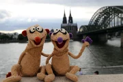 Gerade in K&ouml;ln angekommen, geraten Jan & Henry direkt in einen neuen Kriminalfall.