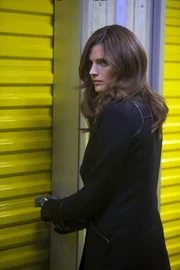 Noch ahnt Kate Beckett (Stana Katic) nicht, was sie in dem Lagerraum erwartet ... Noch ahnt Kate Beckett (Stana Katic) nicht, was sie in dem Lagerraum erwartet ...