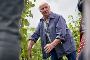 Carolin Meyers Vater Hans zeigt den Landfrauen die Weinberganlagen. Carolin Meyers Vater Hans zeigt den Landfrauen die Weinberganlagen.