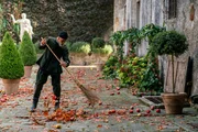 SA Sweeping Leaves