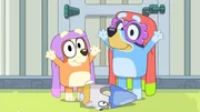 Bluey Season 3 Episode: Ghostbasket (Credit: Ludo Studio)