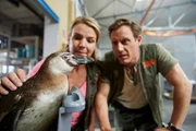 Eva (Mirja Boes) und Daniel (Patrick Kalupa) sind traurig, dass das Gehege von Pinguin Berti geschlossen werden soll.