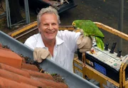 Der Nachbar Hans Baumann (Peter Sattmann) rettet Annegrets Papagei.