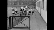 Im Verein ruft nach dem Spiel die Dusche und die Limo. Im Verein ruft nach dem Spiel die Dusche und die Limo.