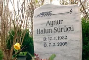 Das Jahr 2005 – der Mord an Hatun Sürücü erschüttert die Stadt, Angela Merkel zieht ins Bundeskanzleramt und die Berliner nehmen Abschied von Harald Juhnke. Eine Berlin-Chronik der Superlative: Fünf Jahrzehnte von 1961, dem Jahr des Mauerbaus, bis 2009, als Berlin eine Weltstadt im 21. Jahrhundert ist. - Die junge Deutsch-Türkin Hatun Sürücü fällt einem sog. Ehrenmord zum Opfer, sie wird von ihrem Bruder ermordet. Das Jahr 2005 – der Mord an Hatun Sürücü erschüttert die Stadt, Angela Merkel zieht ins Bundeskanzleramt und die Berliner nehmen Abschied von Harald Juhnke. Eine Berlin-Chronik der Superlative: Fünf Jahrzehnte von 1961, dem Jahr des Mauerbaus, bis 2009, als Berlin eine Weltstadt im 21. Jahrhundert ist. - Die junge Deutsch-Türkin Hatun Sürücü fällt einem sog. Ehrenmord zum Opfer, sie wird von ihrem Bruder ermordet.