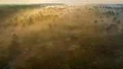 Langsam erwacht die Natur aus dem Winterschlaf.