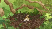 Und schon gibt es einen kleinen Interessenten f&uuml;r das Nest im Baum.