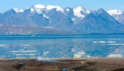 Der gesamte Nordosten Gr&ouml;nlands bildet den gr&ouml;&szlig;ten Nationalpark der Erde - eine Million Quadratkilometer Fl&auml;che, in denen Eisb&auml;ren ungest&ouml;rt leben k&ouml;nnen.