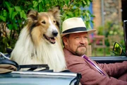 l-r: Lassie, Gerhardt (Justus von Dohn&aacute;nyi)