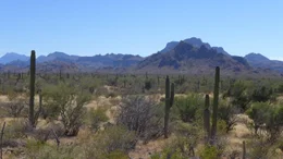 The Baja desert landscape in Mexico.