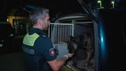 Colin Holste and police dog