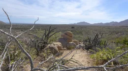 The Baja desert landscape in Mexico.