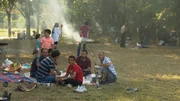 Grillen Grillen