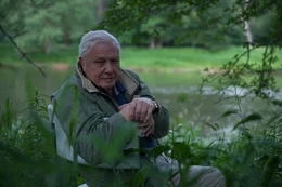 Sir David Attenborough wartet am Ufer des Tionesta Creek in Pennsylvania &ndash; nach Einbruch der Nacht beginnen hier die Gl&uuml;hw&uuml;rmchen ihr spektakul&auml;res Schauspiel.