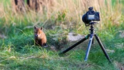 Eine Kamera ist weniger st&ouml;rend f&uuml;r Wildtiere, wenn kein Mensch dahinter sitzt.
