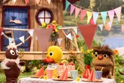 Pittiplatsch hat aber Punkt Nachmittag erst Geburtstag.