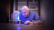 Jedes bioluminiszente Lebewesen produziert sein Licht, indem es zwei chemische Komponenten - Luciferin und Luciferase - vermischt. Diesen Prozess demonstriert Sir David Attenborough im Labor.