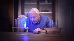 Jedes bioluminiszente Lebewesen produziert sein Licht, indem es zwei chemische Komponenten - Luciferin und Luciferase - vermischt. Diesen Prozess demonstriert Sir David Attenborough im Labor.