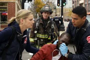 (l-r) Kara Killmer as Sylvie Brett, David Eigenberg as Christopher Herrmann, Charlie Barnett as Peter Mills