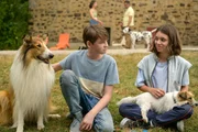 l-r: Lassie, Flo (Nico Marischka), Kleo (Anna Lucia Gualano)