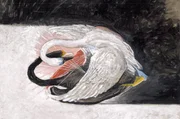 Eine einzigartige Verbindung aus Moderne und Spiritualit&auml;t: Das Bild "Cygnes, Nr. 3" (1915) von Hilma af Klint ist ein &Ouml;lbild auf Leinwand und Teil der Serie "Les Cygnes".