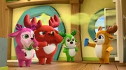 v.li.: Lola, Rammy, Bobbi, Kai