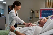 Janet Montgomery (Dr. Lauren Bloom), Patrick Murney (Nicholas &bdquo;Nico&ldquo; Jerrino).