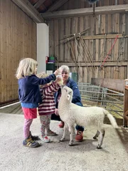 Die Enkelkinder und die Oma f&uuml;ttern das Lamm mit Milch im Stall.