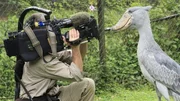Anna und die wilden Tiere &ndash; Sushi, der Schuhschnabel 5