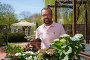 Karl Ploberger gibt praktische Tipps rund um Hortensien und Moorbeeterde.