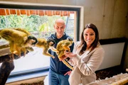 Auch Tiere l&uuml;gen. Thomas Lattinger vom Zoo Herberstein erz&auml;hlt von den Fehltritten unserer n&auml;chsten Verwandten.