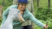 Anna und die wilden Tiere &ndash; Sushi, der Schuhschnabel 4