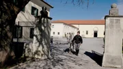 Das Gest&uuml;t Lipica.