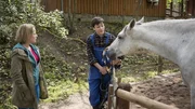 Folge 917 - 5