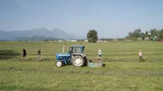 Familie Uitz beim Heu kehren.
