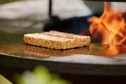 Soja-Tempeh-Viereck auf dem Grill. Soja-Tempeh-Viereck auf dem Grill.