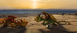 Tr&uuml;gerisches Bild oder wahre Tatsache? Die kleinen Drachen scheinen absolut ungef&auml;hrlich zu sein.